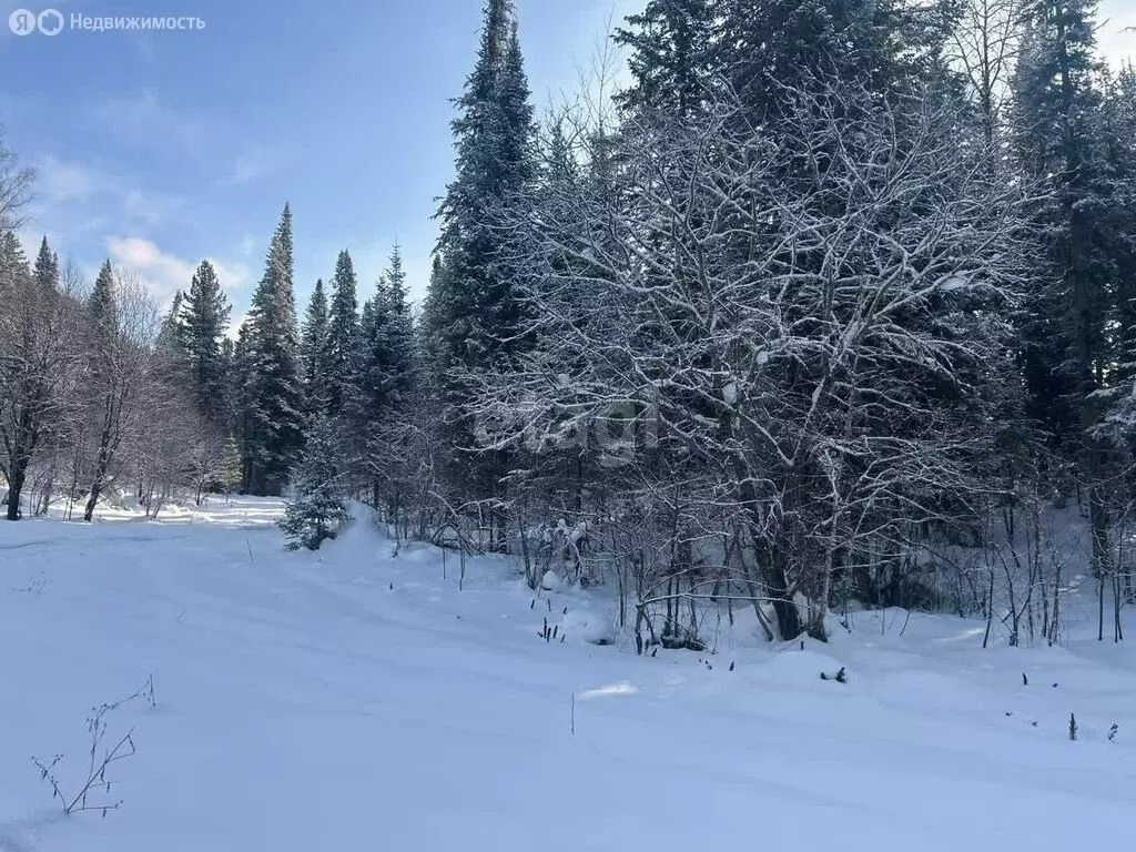 Участок в Турочакский район, село Артыбаш (24.4 м) - Фото 1