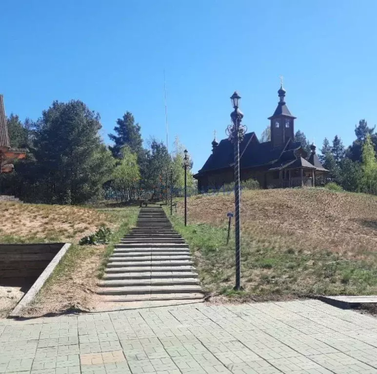 Участок в Нижегородская область, Лысковский район, с. Великовское ул. ... - Фото 1