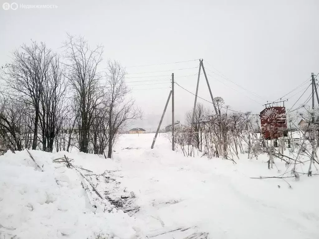 Участок в село Выльгорт, Берёзовая улица (8 м) - Фото 1