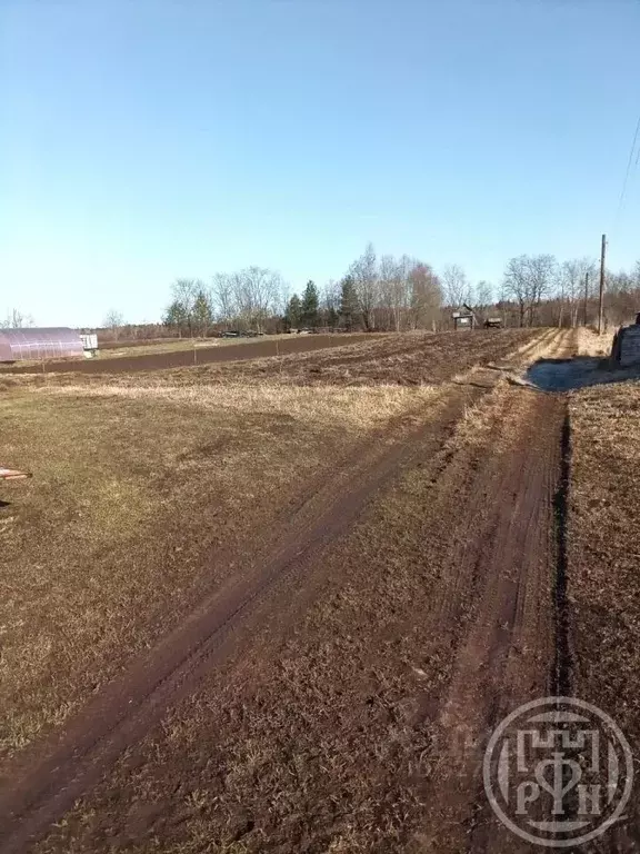 Дом в Ленинградская область, Лужский район, Ям-Тесовское с/пос, д. ... - Фото 2