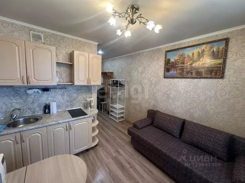 Студия Тюменская область, Тюмень ул. Новоселов, 115 (16.0 м) - Фото 1
