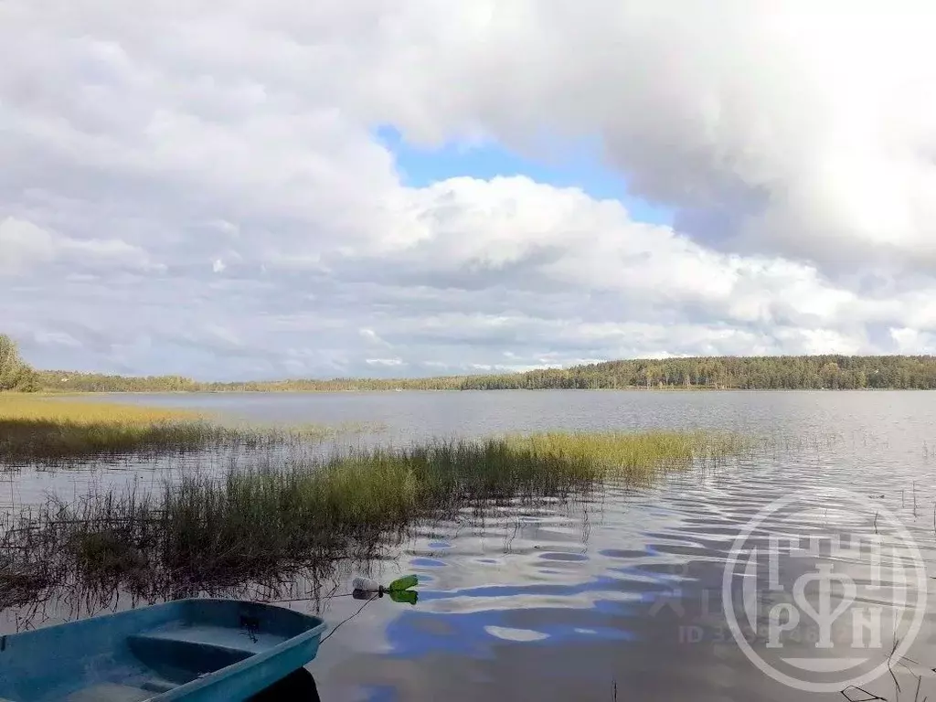Участок в Ленинградская область, Выборгский район, Красносельское ... - Фото 2
