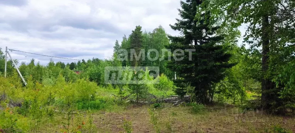 Участок в Ханты-Мансийский АО, Когалым Таллинская ул. (9.0 сот.) - Фото 0