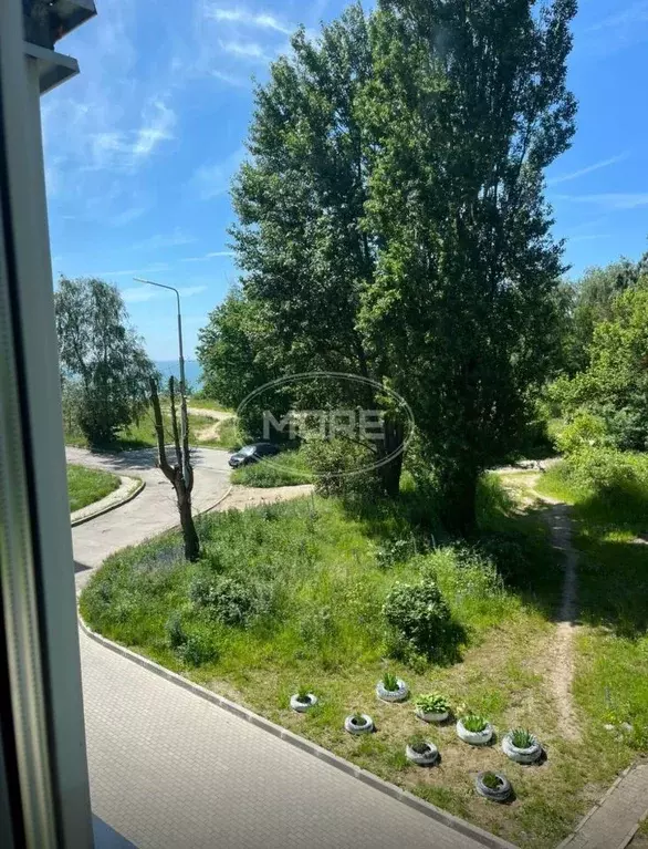 3-к кв. Калининградская область, Янтарный пгт ул. Советская, 104 (58.0 ... - Фото 1