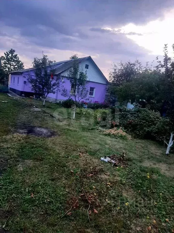 Дом в Воронежская область, с. Верхняя Хава ул. Железнодорожная, 80 (60 ... - Фото 2