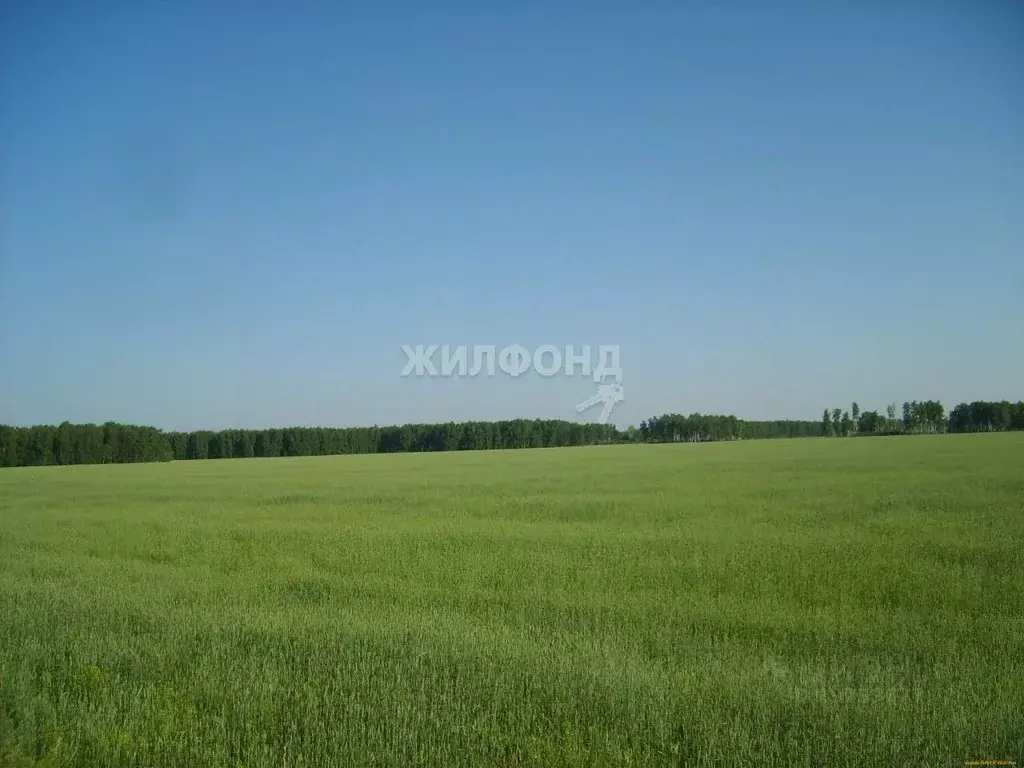 Участок в Астраханская область, Наримановский район, с. ... - Фото 0