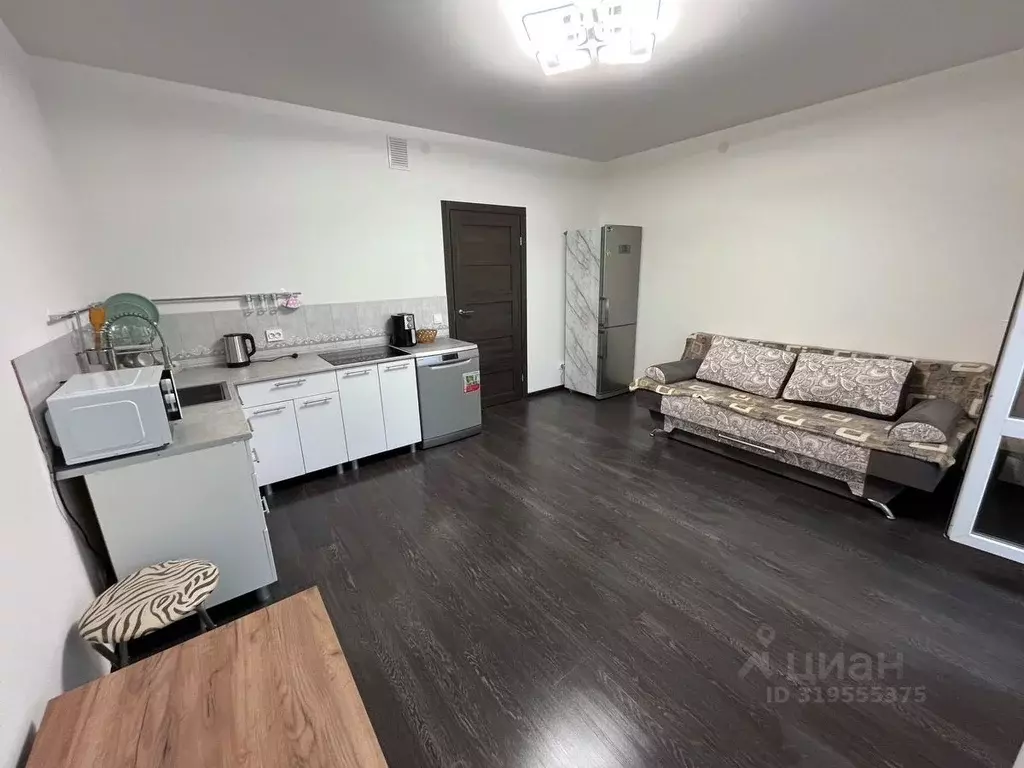 Студия Санкт-Петербург просп. Буденного, 21к1 (25.6 м) - Фото 0