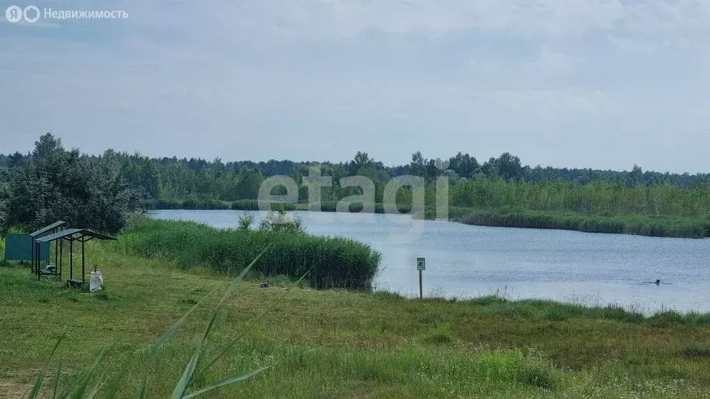 Участок в Нетьинское сельское поселение, СДТ Лесная Поляна (18.9 м) - Фото 1