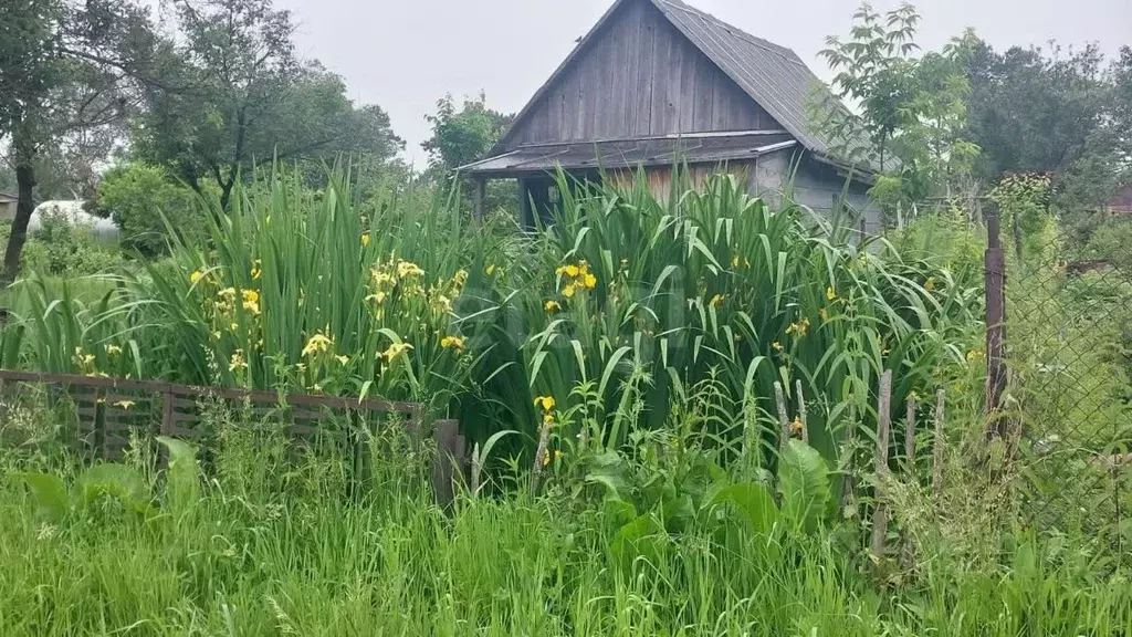 Дом в Хабаровский край, Хабаровск Родники садовое товарищество, 10 (12 ... - Фото 0