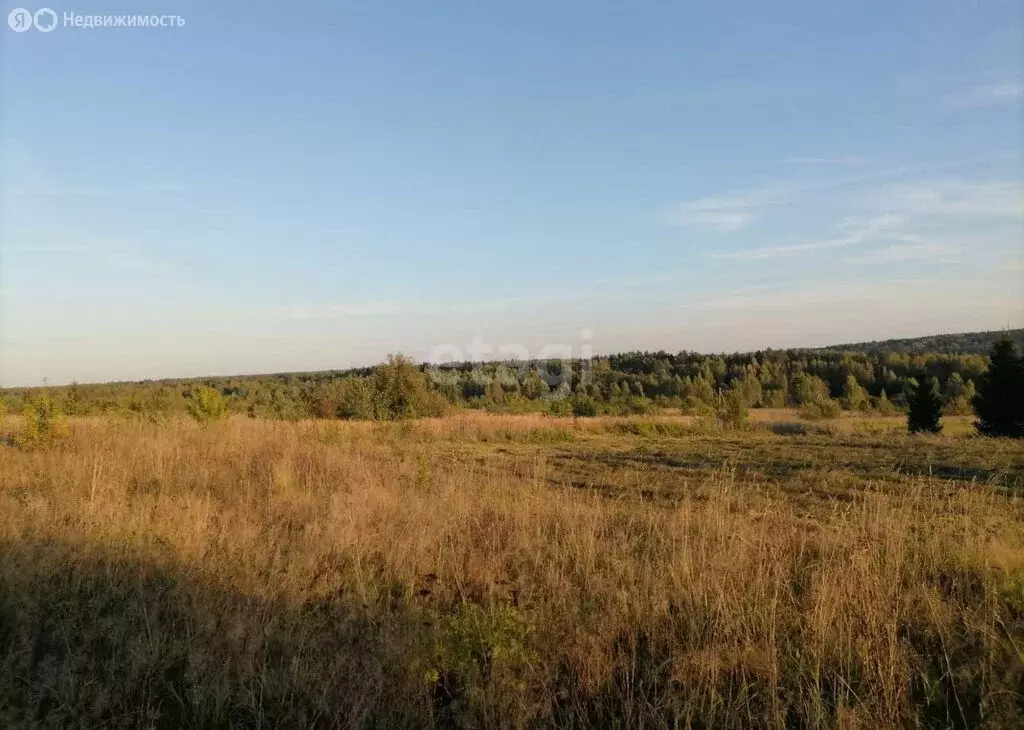 Участок в Ярославская область, сельское поселение Некрасовское, ... - Фото 0