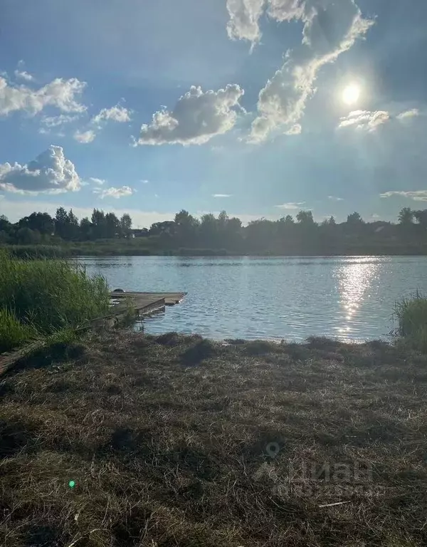 Участок в Тульская область, Новомосковск городской округ, с. ... - Фото 2