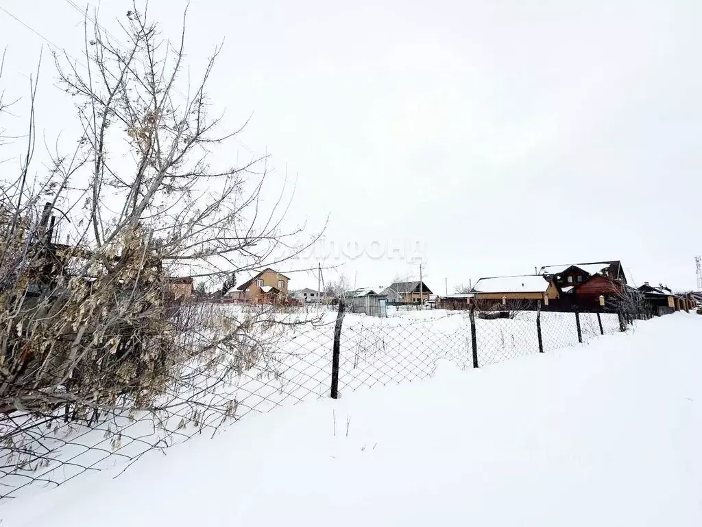 Участок в Новосибирская область, Новосибирский район, с. Боровое ул. ... - Фото 0