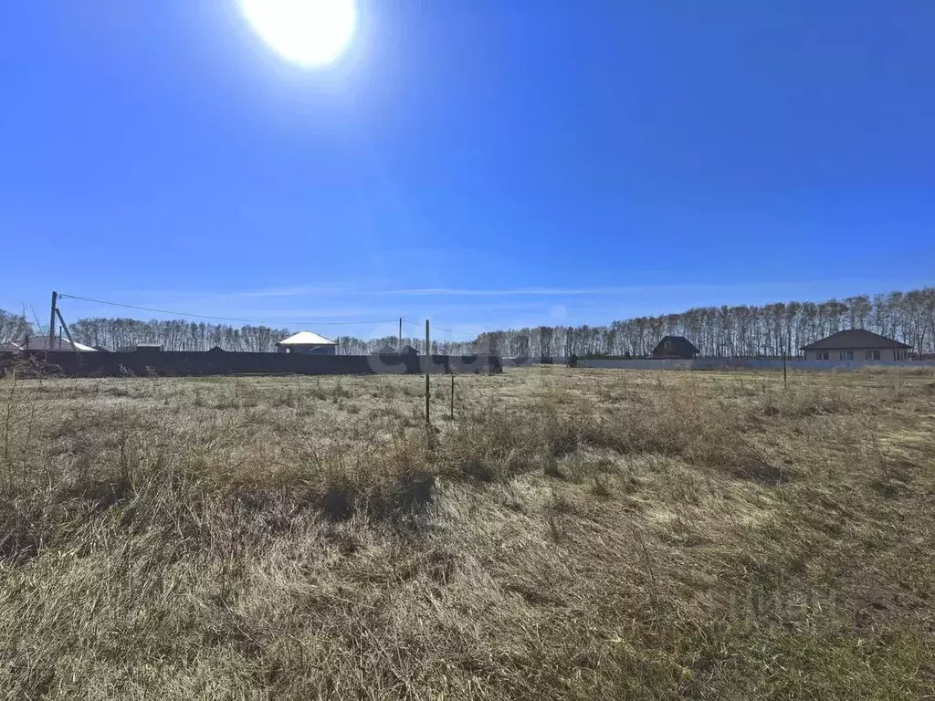 Участок в Омская область, Омский район, с. Усть-Заостровка ул. 23-я ... - Фото 1