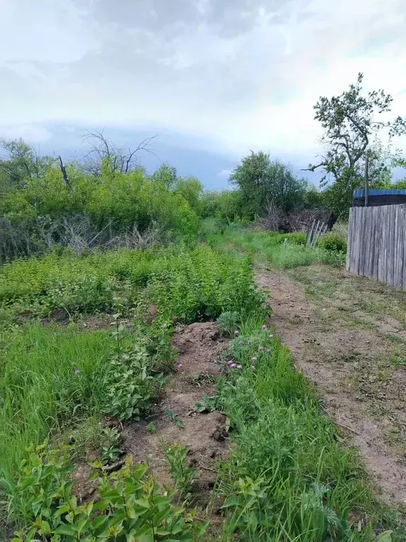 Участок 6 сот. (СНТ, ДНП) - Фото 0