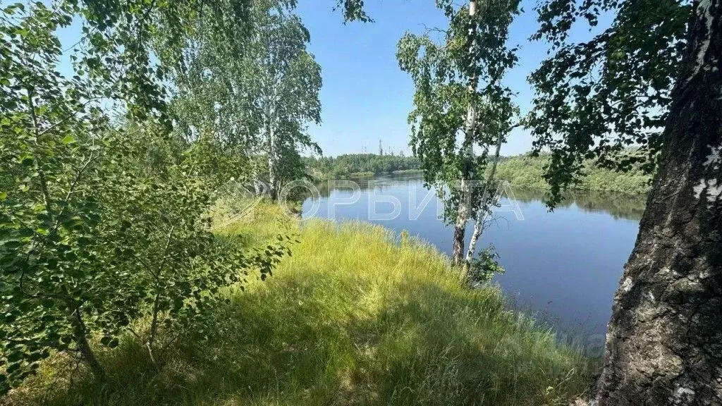 Участок в Тюменская область, Тюменский муниципальный округ, д. ... - Фото 2