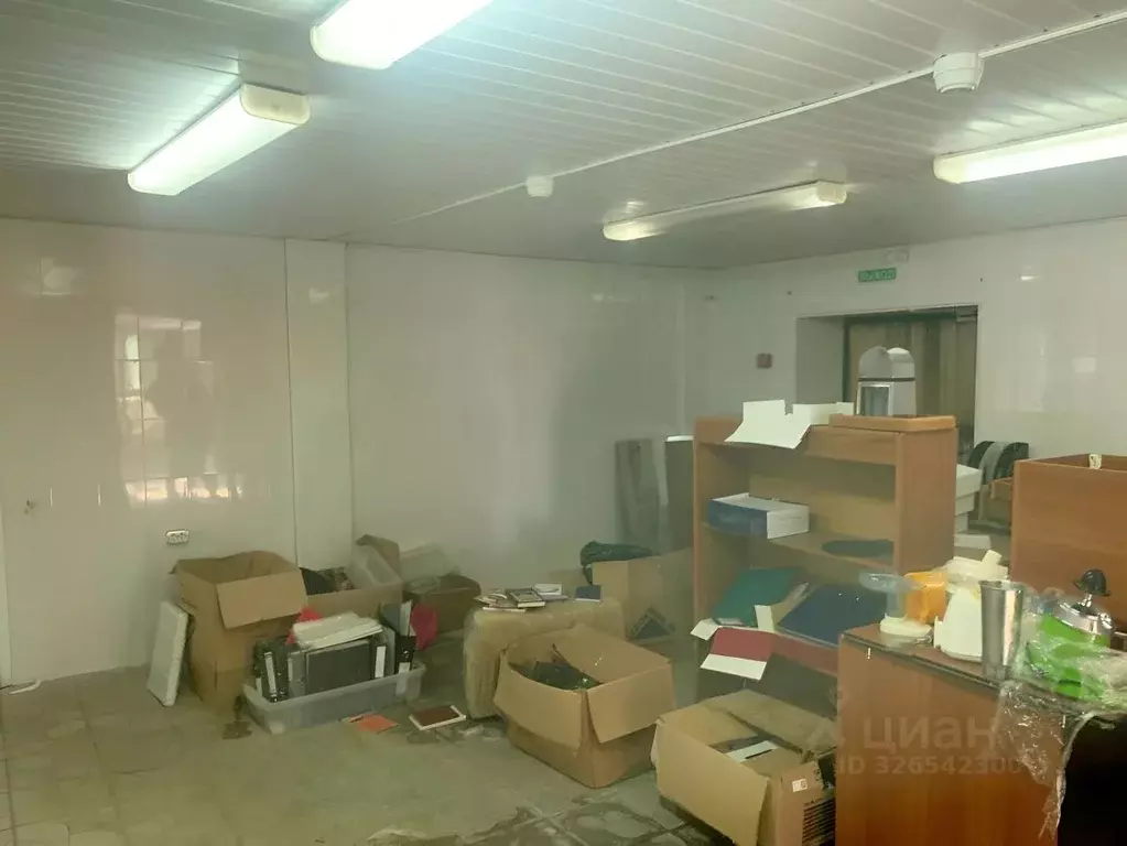 Помещение свободного назначения в Курская область, Курск ул. Пионеров, ... - Фото 1