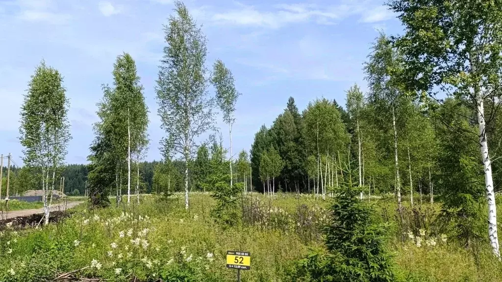 Участок в Ленинградская область, Приозерский район, Раздольевское ... - Фото 1