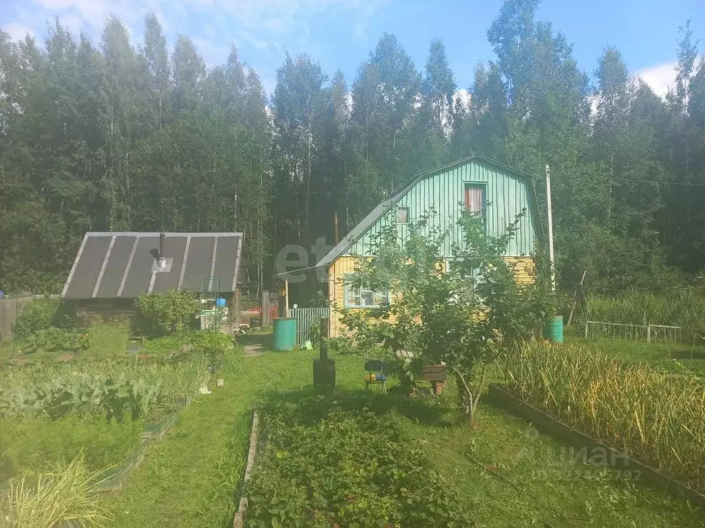 Дом в Вологодская область, Лиана садоводческое товарищество  (40 м) - Фото 1