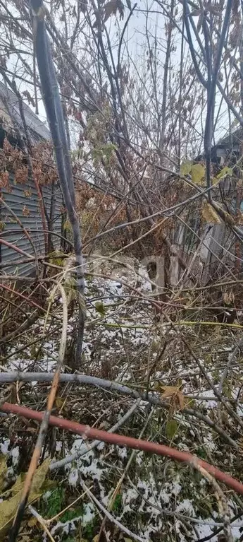 Участок в Тульская область, Новомосковск ул. Вильямса, 5 (6.0 сот.) - Фото 0