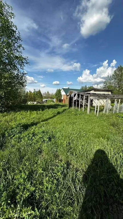 Участок в Московская область, Серпухов городской округ, д. Игнатьево  ... - Фото 2