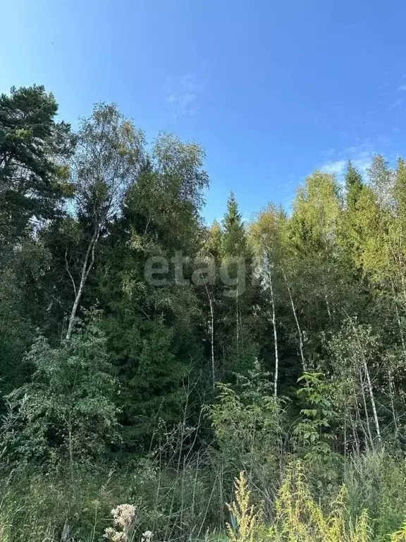 Участок в Московская область, Можайский городской округ, пос. ... - Фото 1