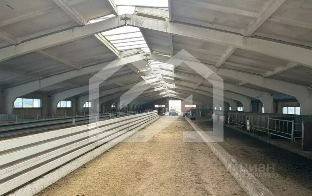 Склад в Московская область, Талдомский городской округ, д. Кутачи 34 ... - Фото 2