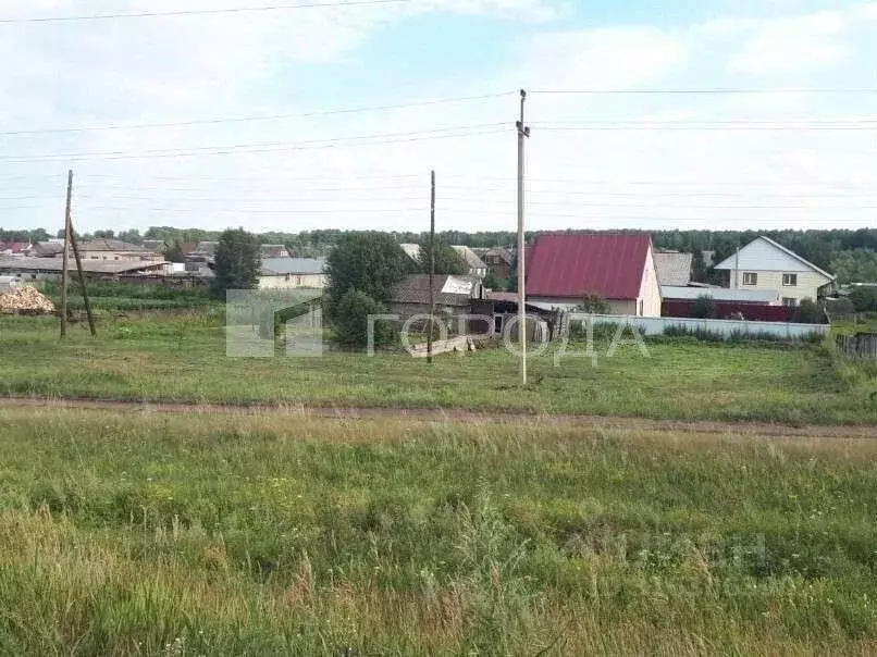 Участок в Новосибирская область, Колыванский район, д. Воробьево ... - Фото 1