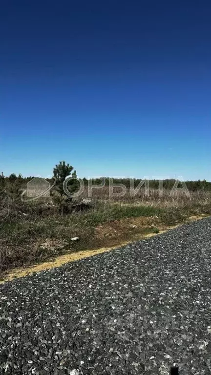 Участок в Тюменская область, Тюменский муниципальный округ, с. ... - Фото 1