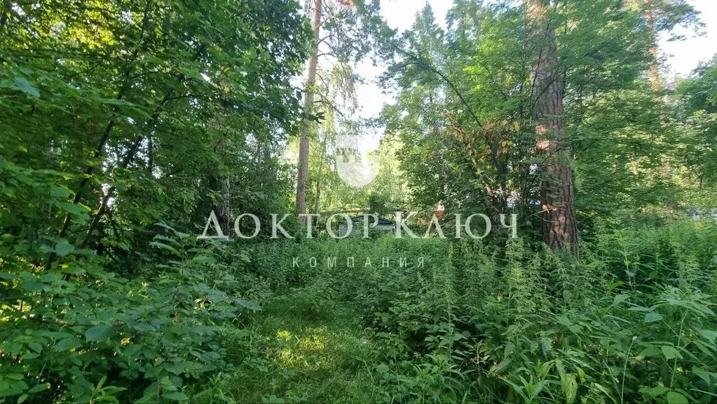 Участок в Новосибирская область, Новосибирск  (12.0 сот.) - Фото 1