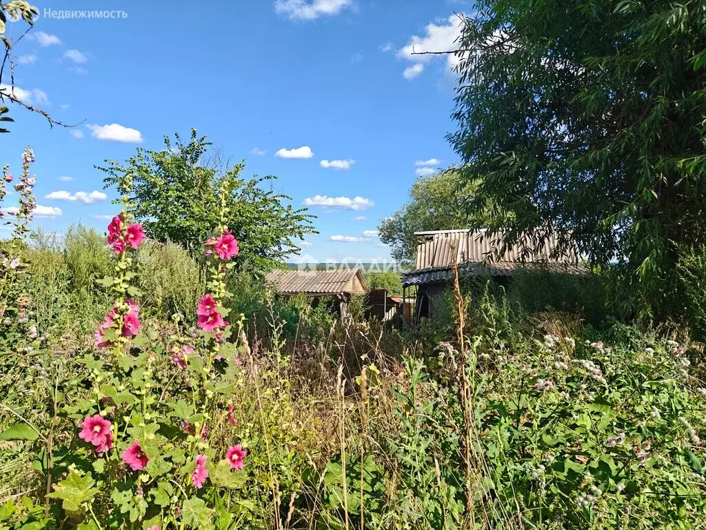 Участок в село Вазерки, улица Любятчики, 74 (30 м) - Фото 2