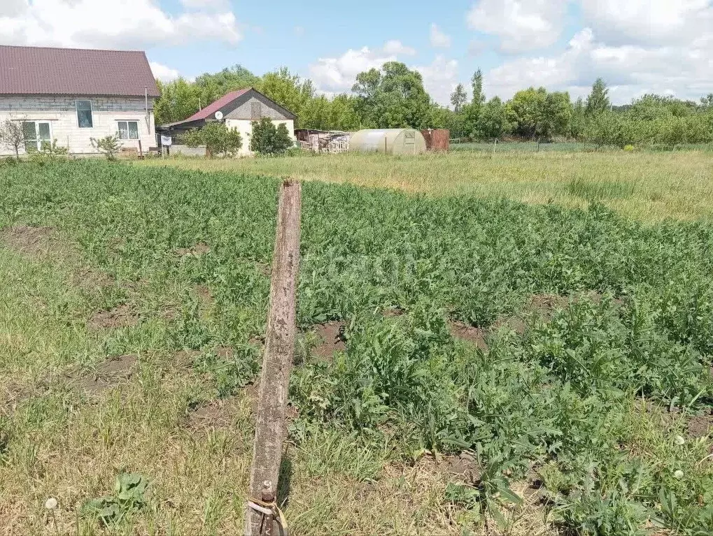 Участок в Белгородская область, Старооскольский городской округ, с. ... - Фото 0