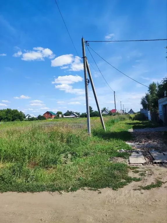 Участок в Омская область, Омский район, Богословское с/пос, с. ... - Фото 2