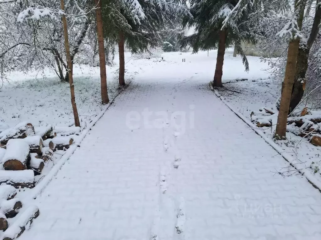 Участок в Псковская область, Островская волость, д. Городище ул. ... - Фото 2