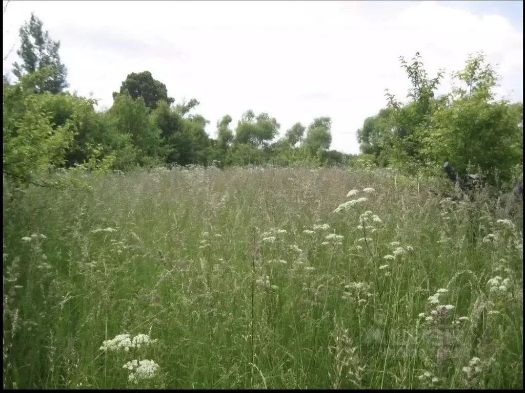 Участок в Рязанская область, Путятинский муниципальный округ, с. ... - Фото 2
