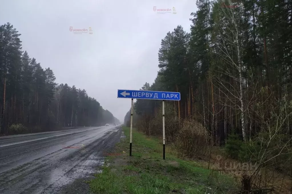 Участок в Свердловская область, Белоярский муниципальный округ, пос. ... - Фото 2