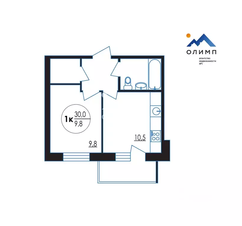 1-к кв. Вологодская область, Вологда Пошехонское ш., 38Е (30.0 м) - Фото 2