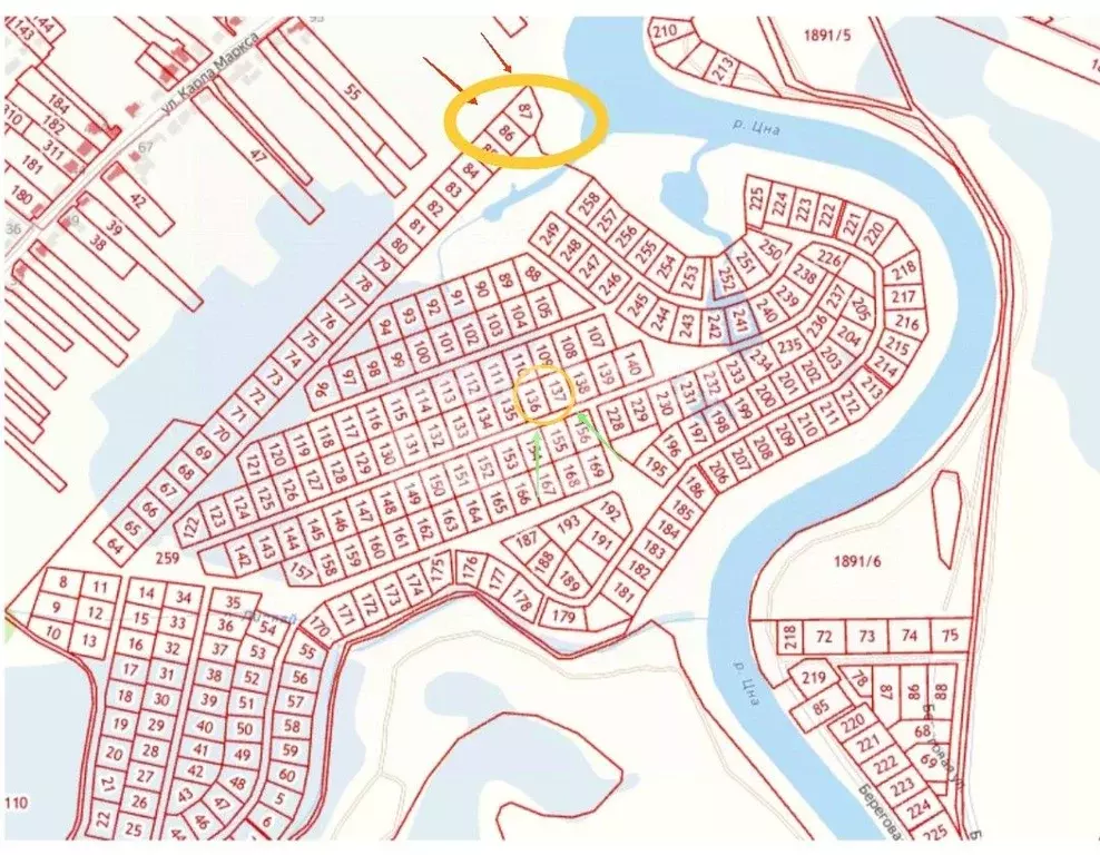 Участок в Тамбовская область, Тамбовский муниципальный округ, с. ... - Фото 1