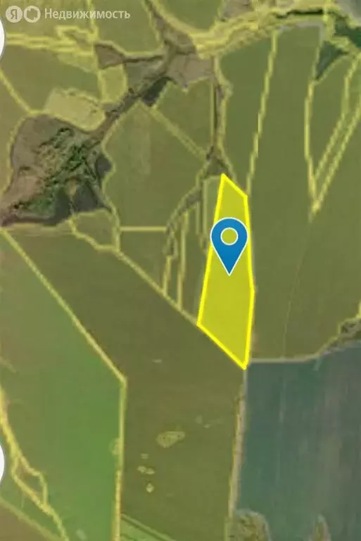 Участок в Рязанская область, Сараевский муниципальный округ, деревня ... - Фото 1