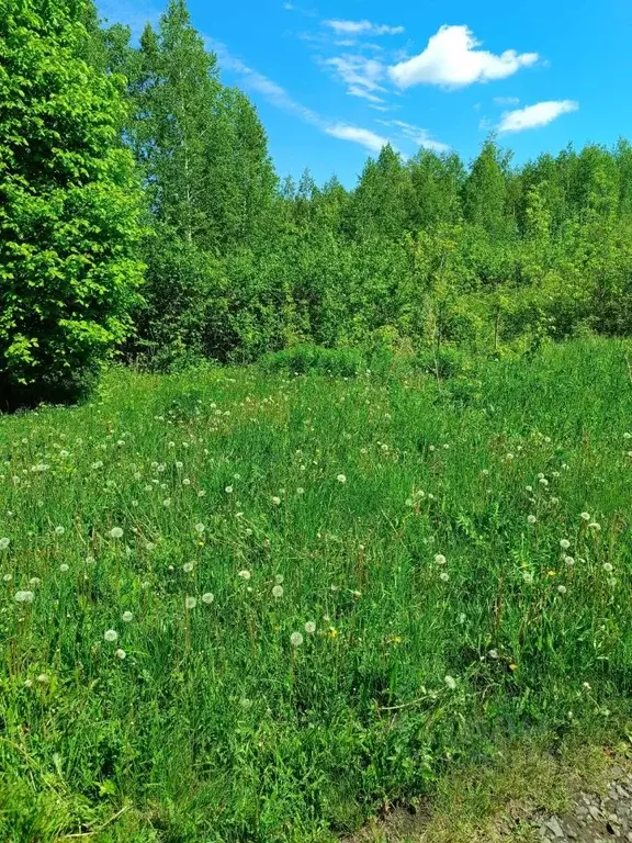 Участок в Башкортостан, Уфимский район, Булгаковский сельсовет, ... - Фото 1
