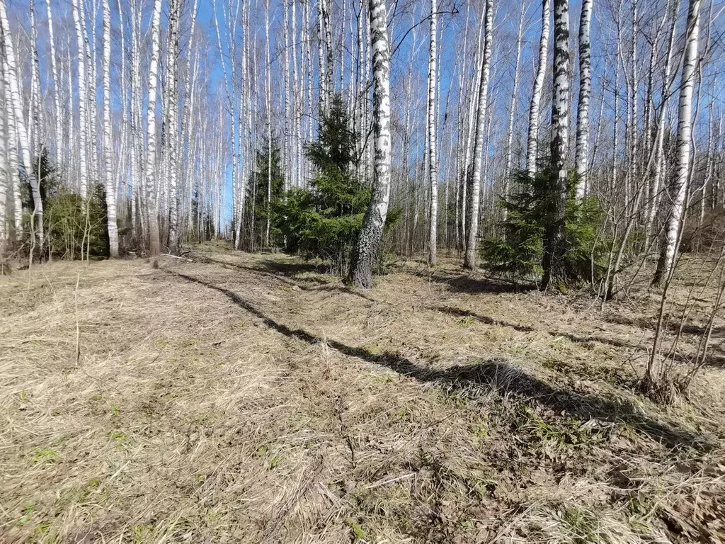 Участок в Московская область, Мытищи городской округ, д. Муракино 5 ... - Фото 2