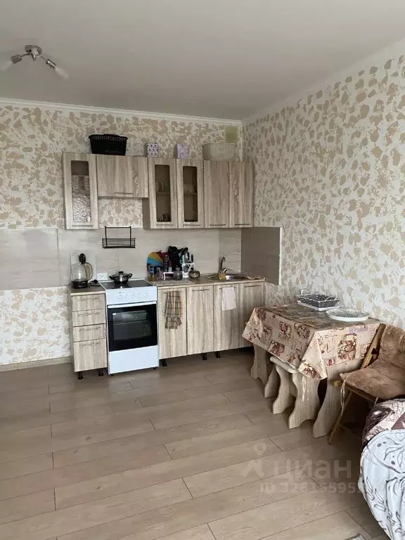 Студия Новосибирская область, Новосибирск ул. Александра Чистякова, 6 ... - Фото 2