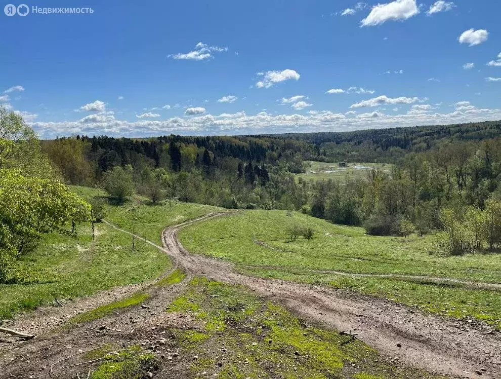 Помещение свободного назначения (441.5 м) - Фото 1