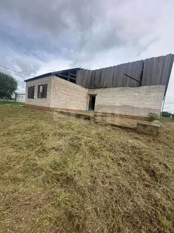 Дом в Амурская область, Благовещенский район, с. Усть-Ивановка ... - Фото 2