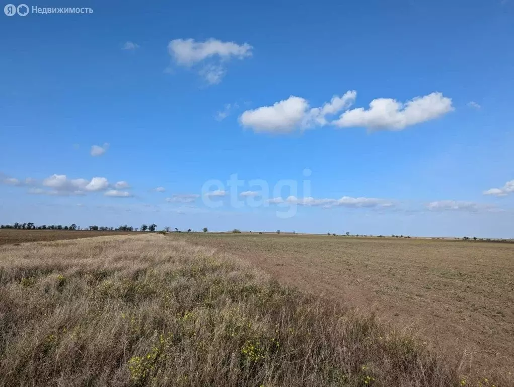 Участок в Оленевка, Объездная улица (364.22 м) - Фото 2