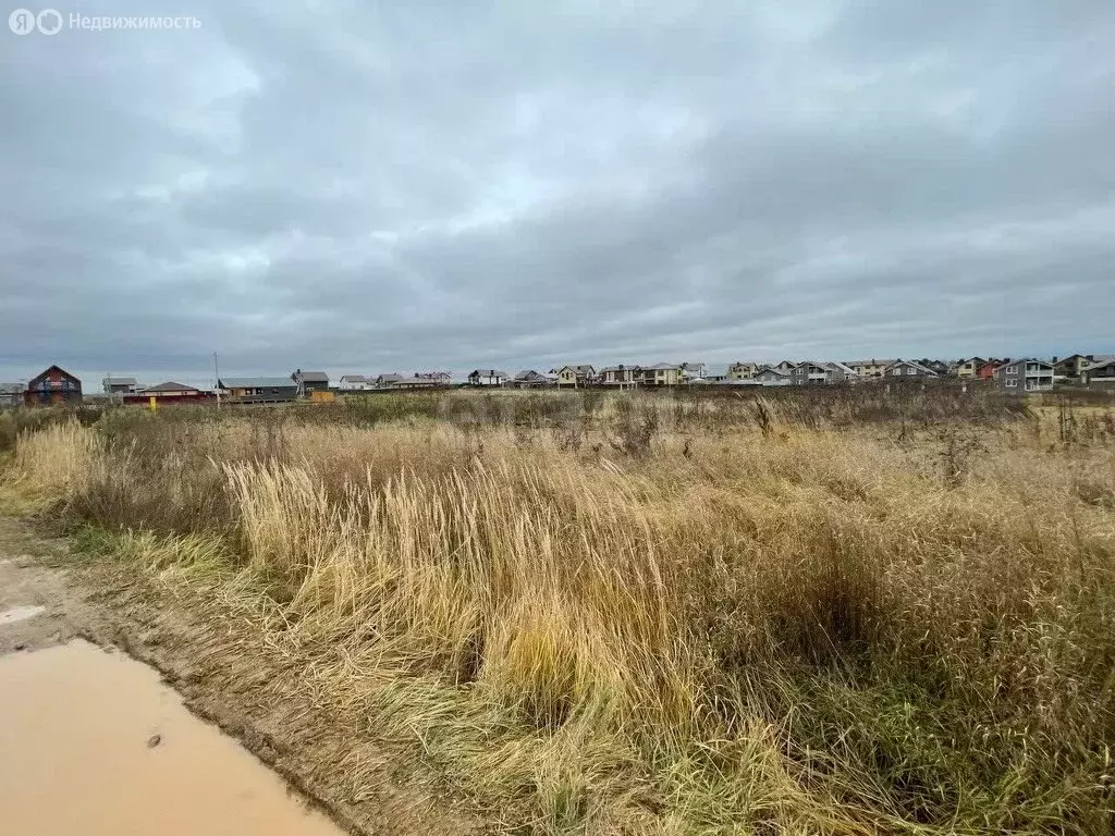 Участок в Ярославский муниципальный округ, деревня Малые Жарки, КП ... - Фото 2