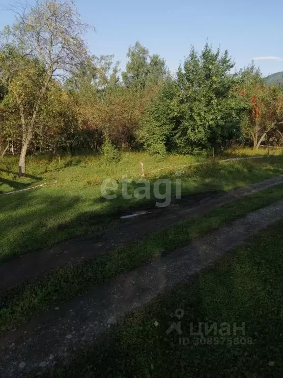 Участок в Алтай, Чемальский район, с. Анос ул. Нагорная (10.0 сот.) - Фото 1