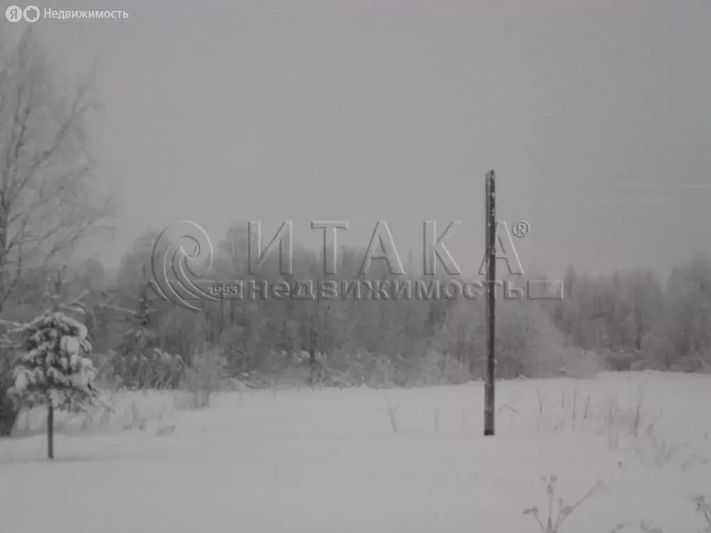 Участок в Алёховщинское сельское поселение, садоводческое ... - Фото 2