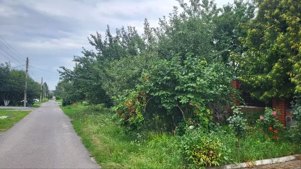Дом в Курская область, Курск Панинская ул., 14 (224 м) - Фото 0