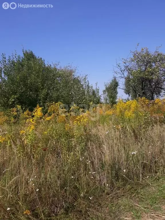 Участок в деревня Добрунь, садоводческое некоммерческое товарищество ... - Фото 1