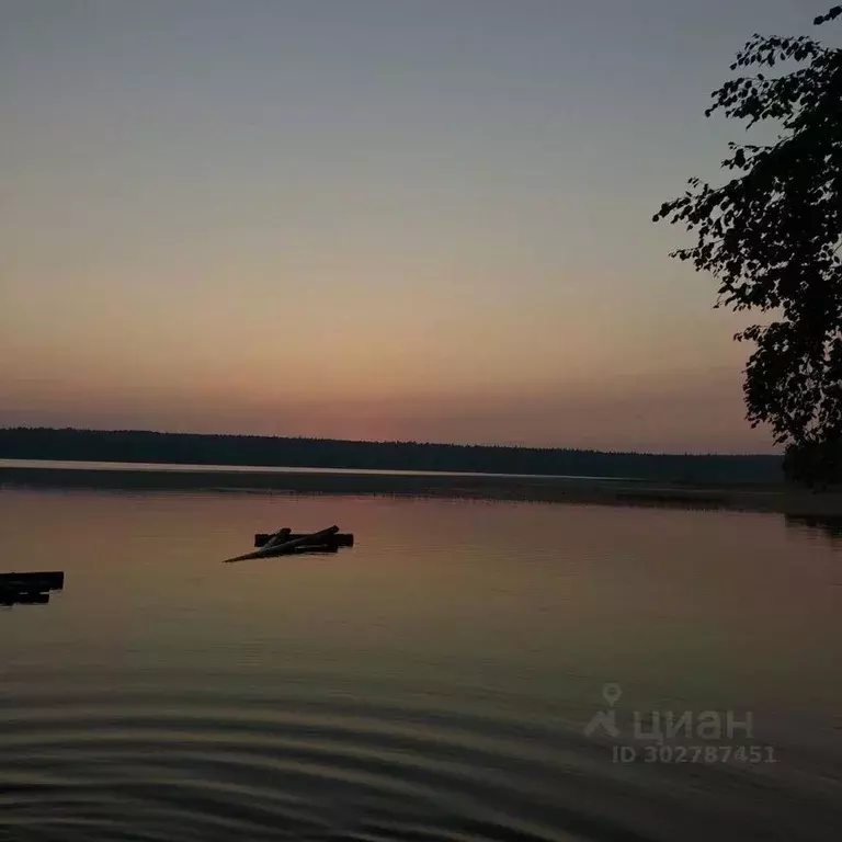 Участок в Карелия, Прионежский район, Заозерское с/пос, д. Суйсарь, ... - Фото 1